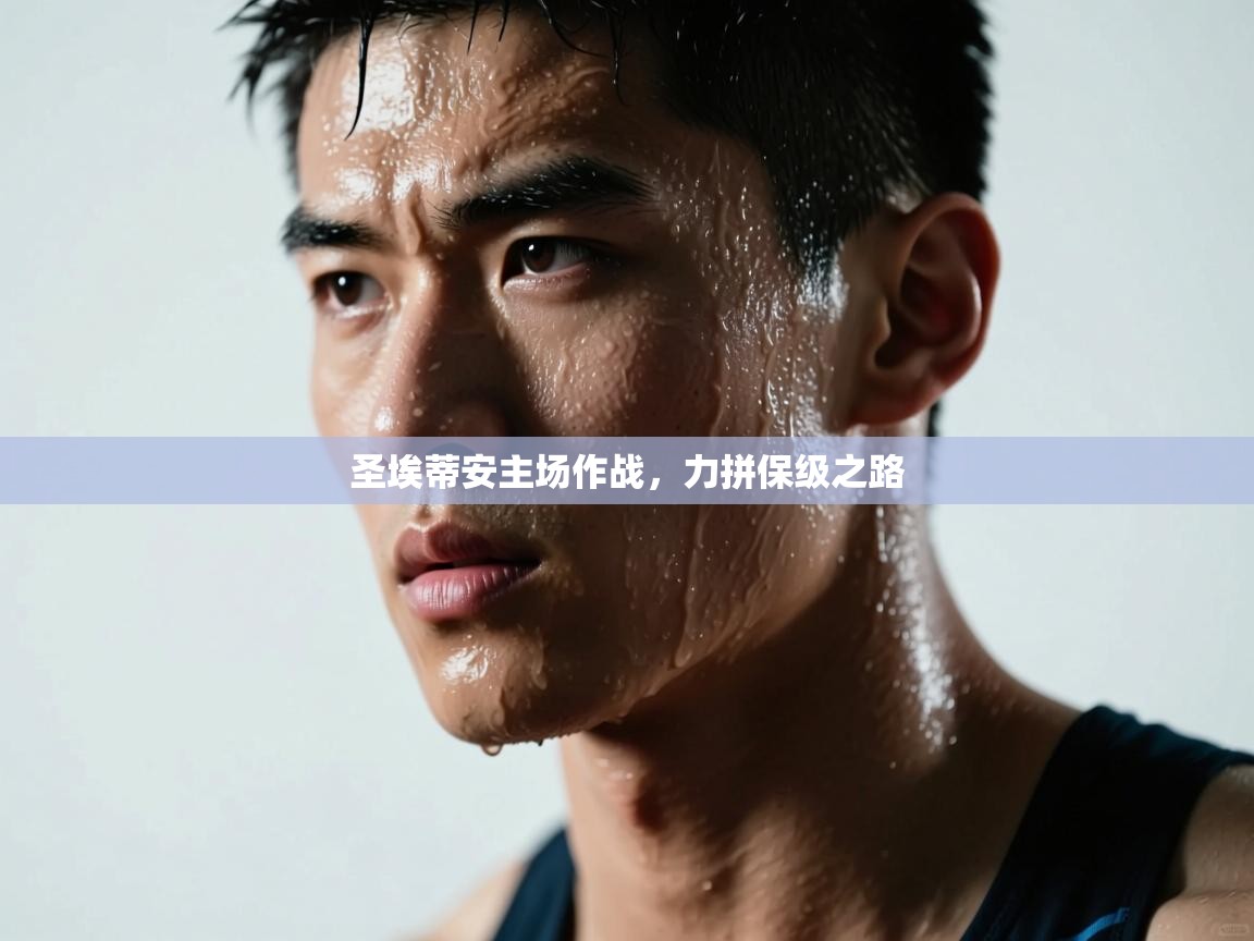 圣埃蒂安主场作战,力拼保级之路 第1张