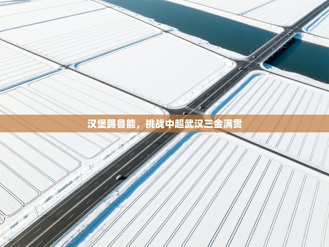 汉堡踢鲁能,挑战中超武汉三金满贯 第1张