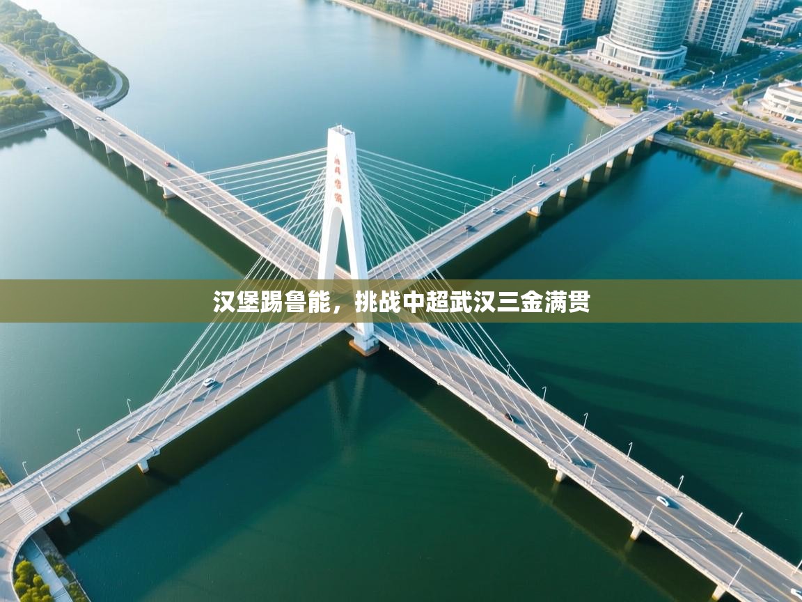 汉堡踢鲁能,挑战中超武汉三金满贯 第2张