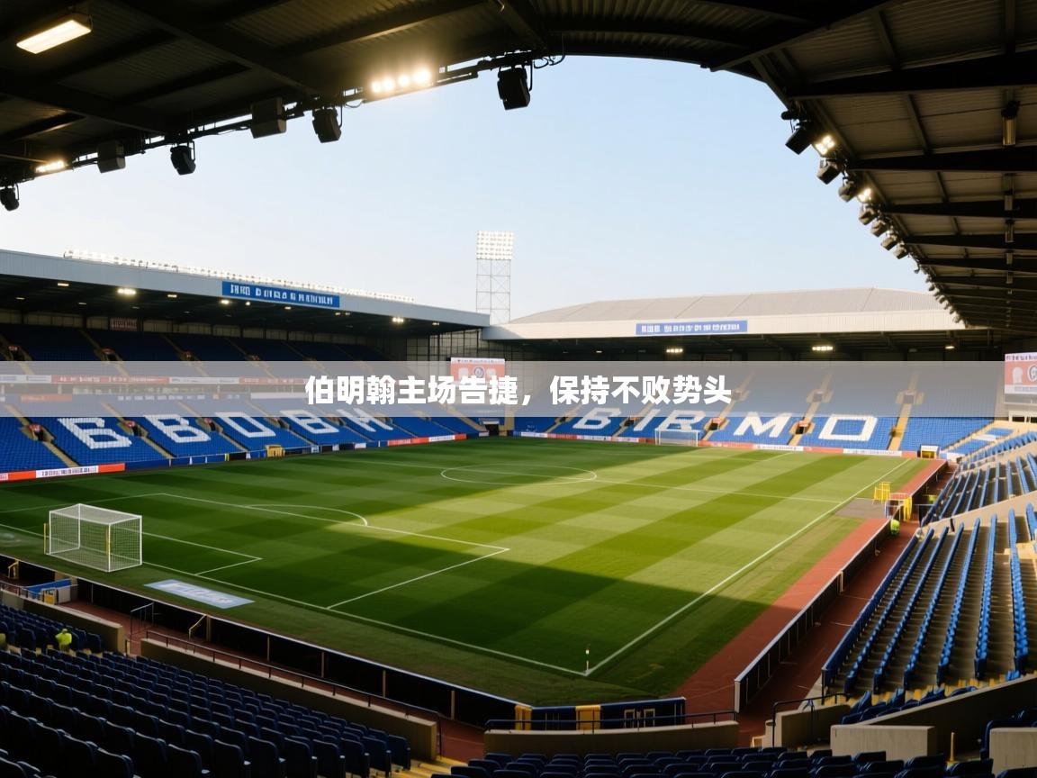 伯明翰主场告捷，保持不败势头  第2张