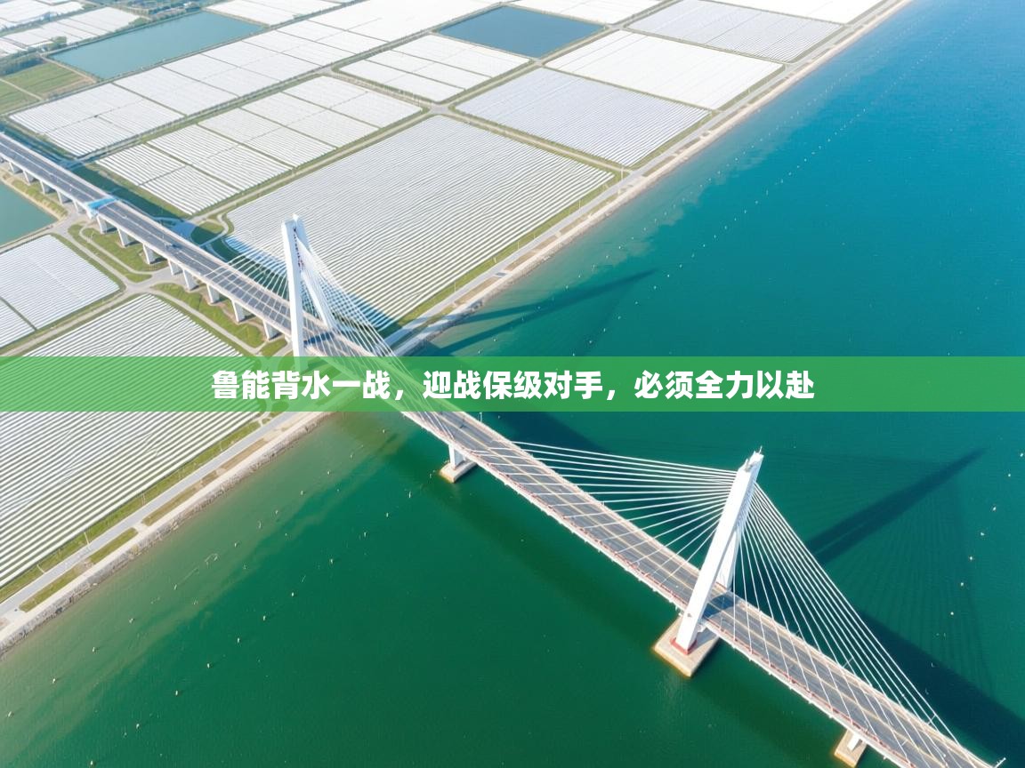 鲁能背水一战,迎战保级对手,必须全力以赴 第2张