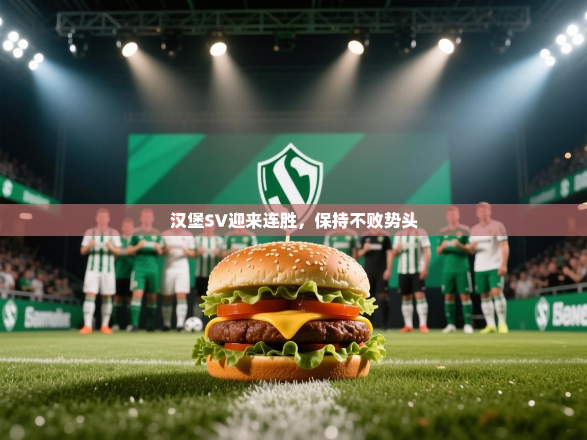 汉堡SV迎来连胜，保持不败势头  第1张