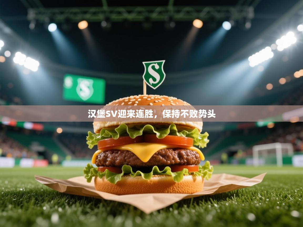 汉堡SV迎来连胜，保持不败势头  第2张